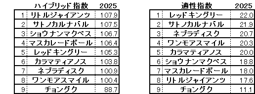 2025　共同通信杯　HB指数